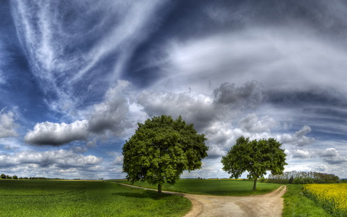 HDRI ���������� ���� 50