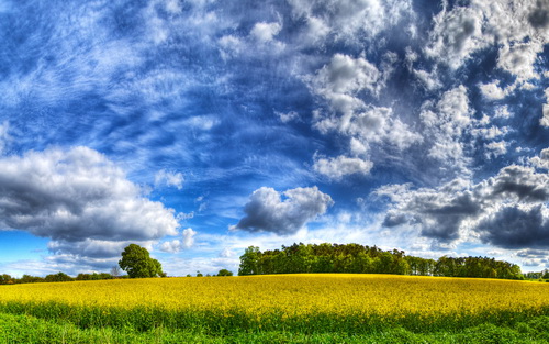 HDRI ���������� ���� 62