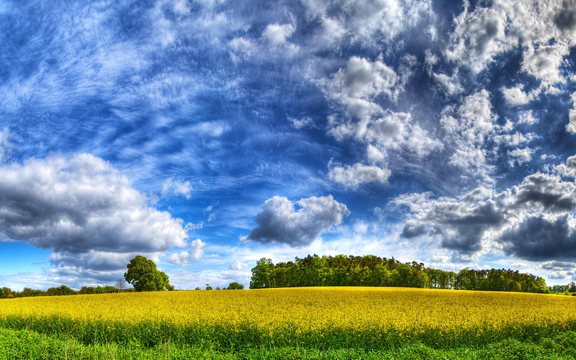 HDRI ���������� :: ���������� 2