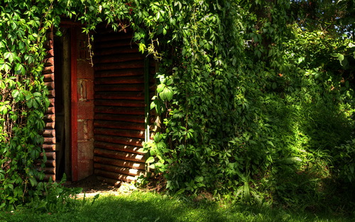 HDRI ���������� ���� 73