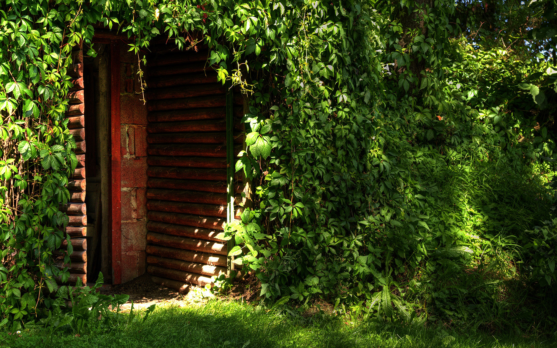 HDRI ���������� :: ���������� 2