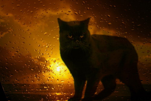 ���������� :: �������� Hermin Abramovitch ���� 68