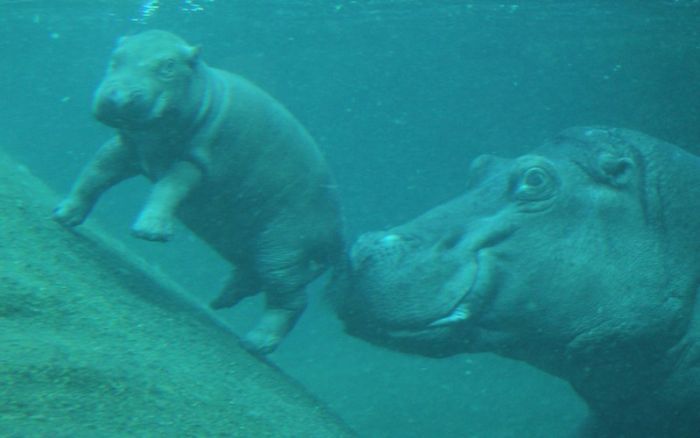 ��������� ���������� :: ���������� 2