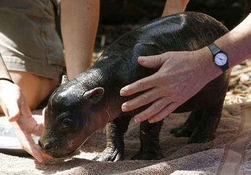 ������������� ���� 12