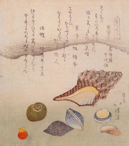 ������������ :: ��������� ������� ���� 11