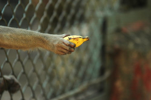 �������� ��� :: �������� ����� ���� 69
