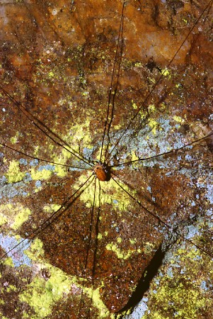 �������� :: ��������� ���� 44