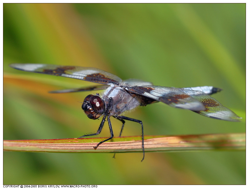 �������� ��� :: ��������� :: ���������� 2