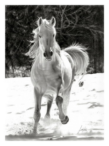 ��������� :: ���� ���������� ���� 15