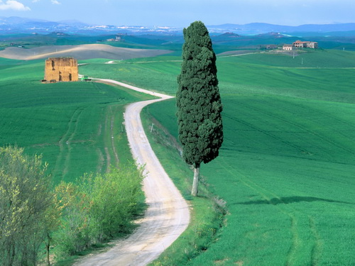 ������ ���� 22