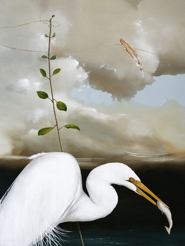 ������� ����� ���� 12
