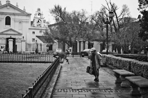 �������� Juan Buhler ���� 44