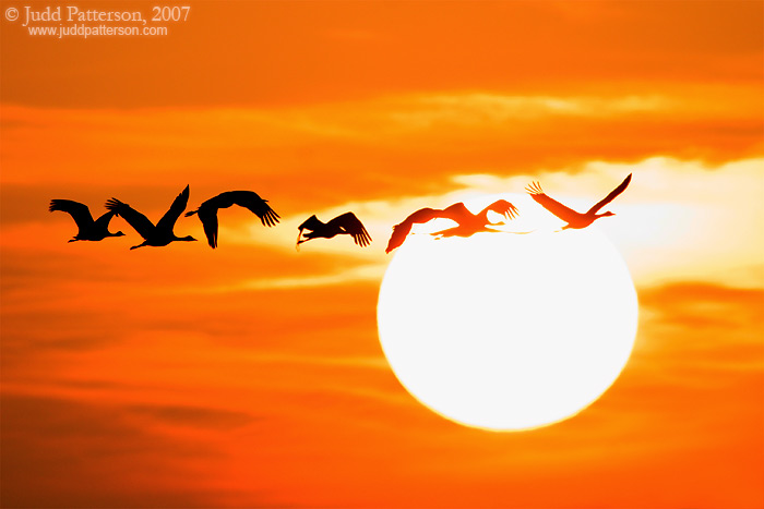 �������� Judd Patterson :: ���������� 2