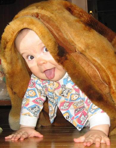 ���� :: ������� ���� 3