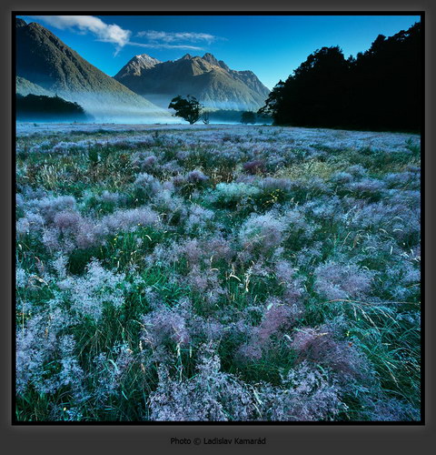���������� :: �������� Ladislav Kamarad ���� 15