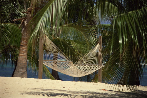 ���� � ��������� ������ ������� ���� 5