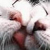 �������� ��� :: ������ � ������ �������� :: ���������� 2
