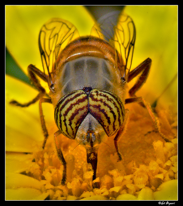 �������� :: ������� ��������� ����� :: ���������� 2