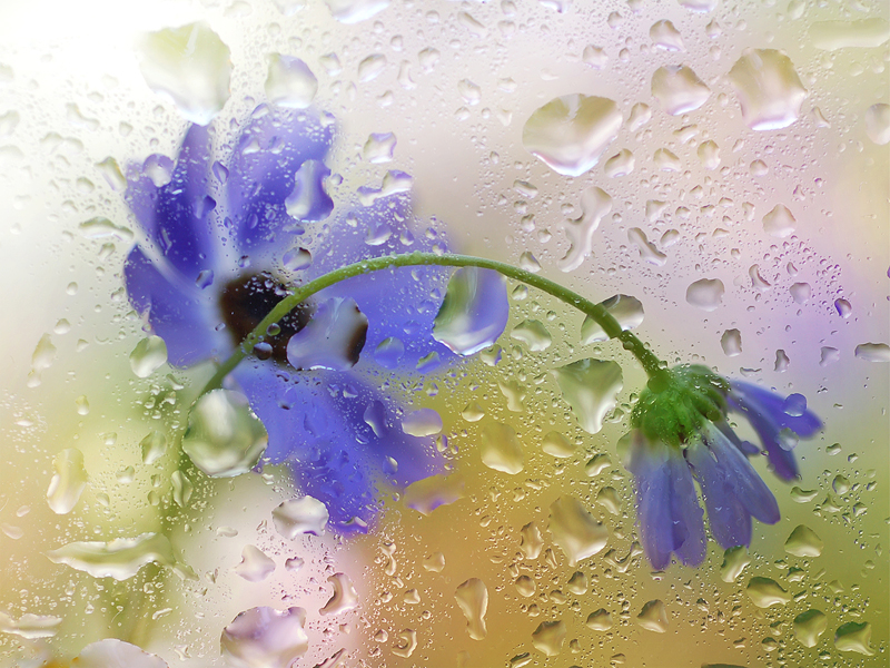 �������� ����� :: ���������� 2