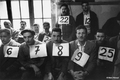������ ����������� ������ ���� 49