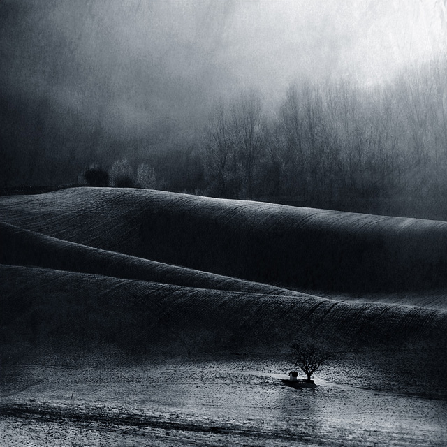 Marcin Sacha :: ���������� 2