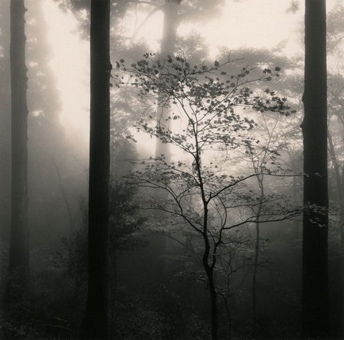 ���������� :: �������� Michael Kenna ���� 1