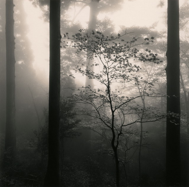 ���������� :: �������� Michael Kenna :: ���������� 2
