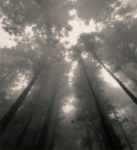 ���������� :: �������� Michael Kenna ���� 2