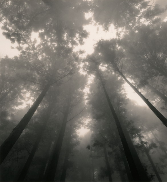 ���������� :: �������� Michael Kenna :: ���������� 2