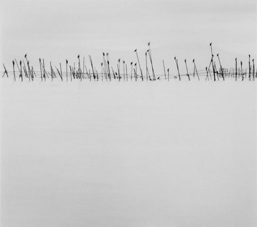 ���������� :: �������� Michael Kenna ���� 81