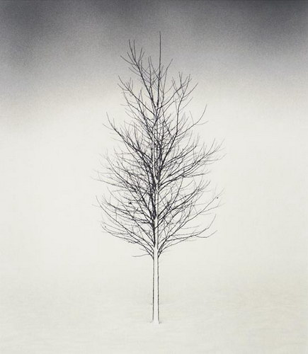 ���������� :: �������� Michael Kenna ���� 98