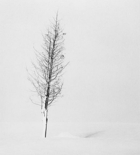 ���������� :: �������� Michael Kenna ���� 99