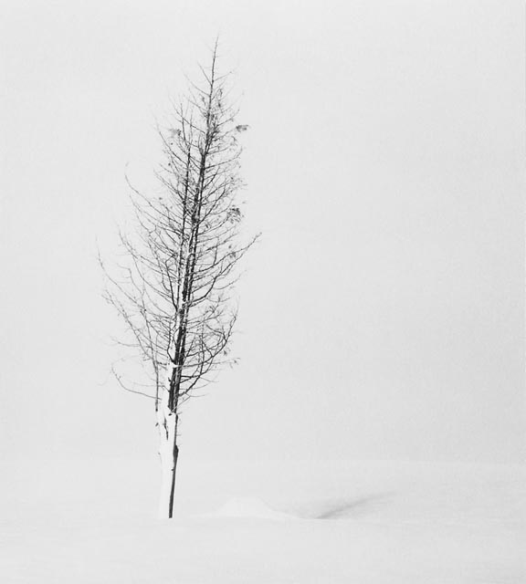 ���������� :: �������� Michael Kenna :: ���������� 2