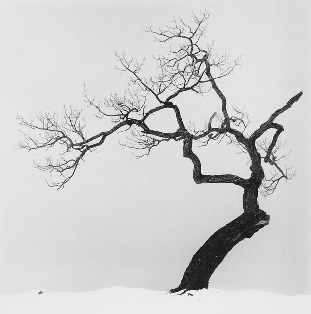 ���������� :: �������� Michael Kenna :: ���������� 2
