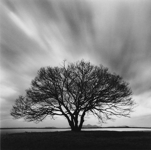 ���������� :: �������� Michael Kenna ���� 104