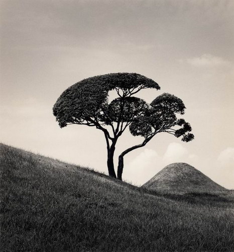 ���������� :: �������� Michael Kenna ���� 112