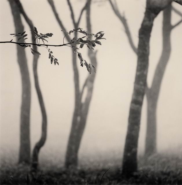 ���������� :: �������� Michael Kenna :: ���������� 2