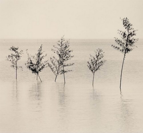���������� :: �������� Michael Kenna ���� 130