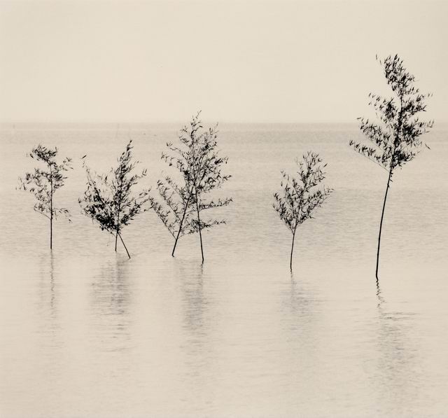 ���������� :: �������� Michael Kenna :: ���������� 2