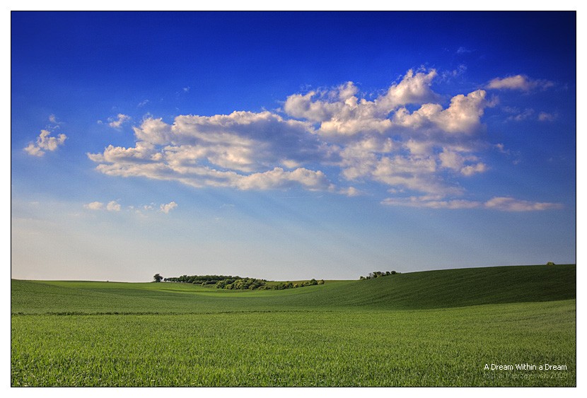 ���� :: �������� Michal Mierzejewski :: ���������� 2
