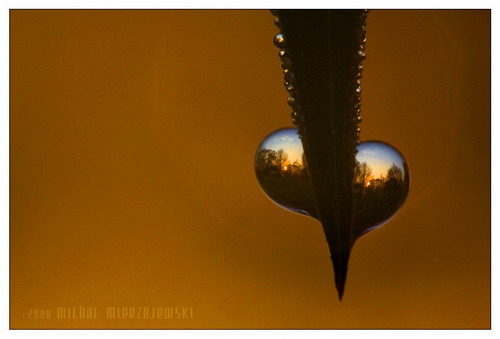 ���� :: �������� Michal Mierzejewski ���� 4