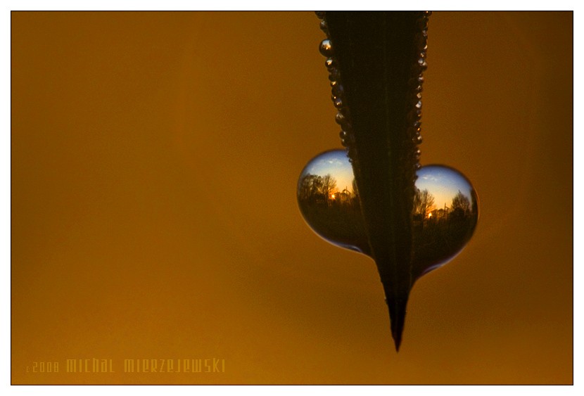 ���� :: �������� Michal Mierzejewski :: ���������� 2