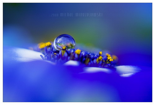 ���� :: �������� Michal Mierzejewski ���� 5