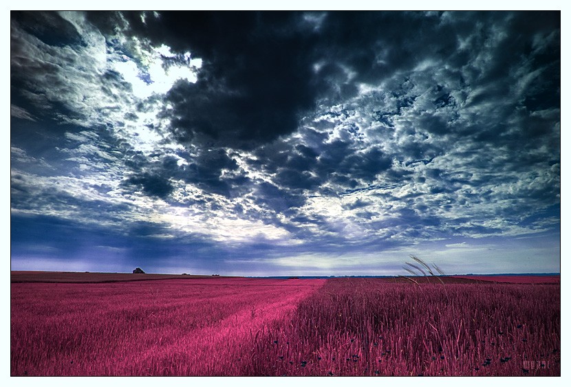 ���� :: �������� Michal Mierzejewski :: ���������� 2