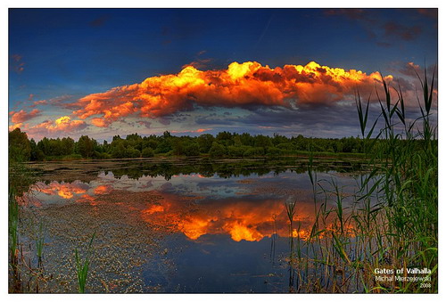 ���� :: �������� Michal Mierzejewski ���� 15