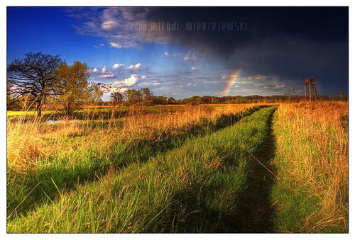 ���� :: �������� Michal Mierzejewski ���� 17