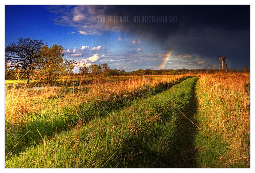 ���� :: �������� Michal Mierzejewski :: ���������� 2