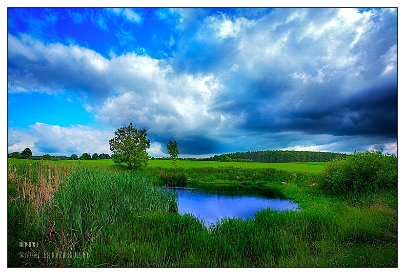 ���� :: �������� Michal Mierzejewski :: ���������� 2
