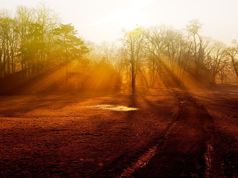 ���� :: �������� Michal Mierzejewski :: ���������� 2