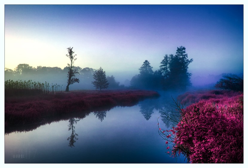���� :: �������� Michal Mierzejewski :: ���������� 2